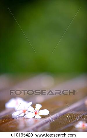 Outdoors, Day View Large Photo Image Stock Image - Outdoors, Day. Fotosearch