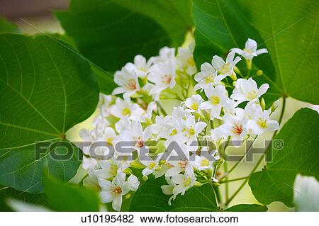 Outdoors, Day View Large Photo Image Stock Image - Outdoors, Day. Fotosearch