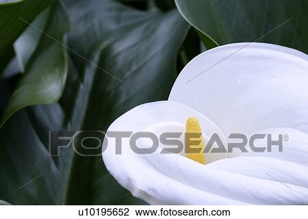 Outdoors, Day View Large Photo Image Stock Image - Outdoors, Day. Fotosearch