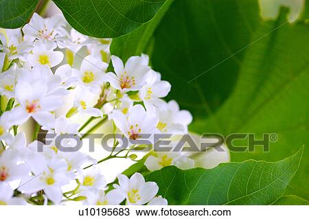 Outdoors, Day View Large Photo Image Stock Image - Outdoors, Day. Fotosearch