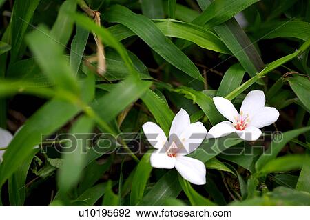 Outdoors, Day View Large Photo Image Stock Image - Outdoors, Day. Fotosearch