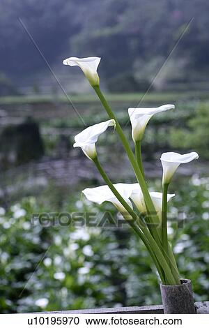 Outdoors, Day View Large Photo Image Stock Image - Outdoors, Day. Fotosearch