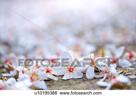 Outdoors, Day View Large Photo Image Stock Photo - Outdoors, Day. Fotosearch