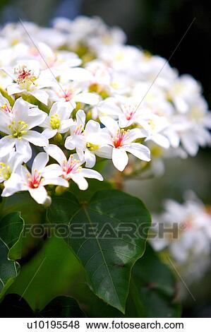 Outdoors, Day View Large Photo Image Stock Photo - Outdoors, Day. Fotosearch