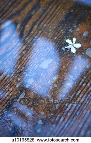 Stock Photo - Outdoors, Day. Fotosearch