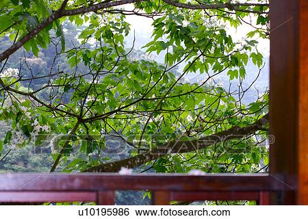 Stock Photograph - Outdoors, Day. Fotosearch