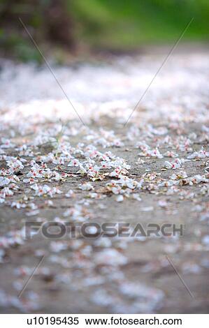 Outdoors, Day View Large Photo Image Stock Photography - Outdoors, Day. Fotosearch