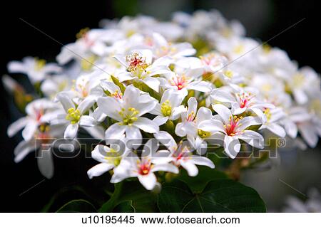 Stock Photography - Outdoors, Day. Fotosearch