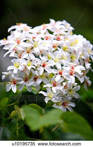 Stock Photography - Outdoors, Day. Fotosearch