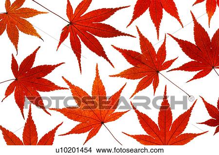 Picture - Indoors, Day. Fotosearch