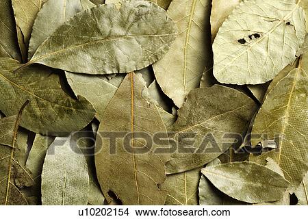 Picture - Indoors, Day. Fotosearch