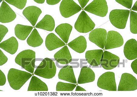 Stock Image - Indoors, Day. Fotosearch