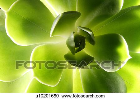 Stock Image - Indoors, Day. Fotosearch