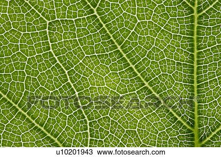 Indoors, Day View Large Photo Image Stock Image - Indoors, Day. Fotosearch
