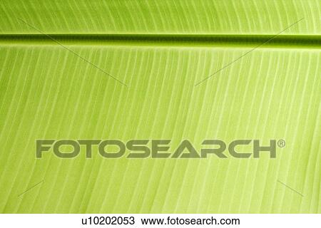 Indoors, Day View Large Photo Image Stock Image - Indoors, Day. Fotosearch