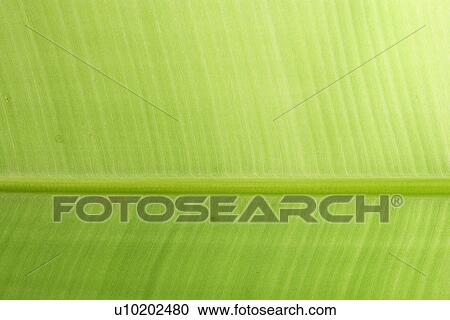 Indoors, Day View Large Photo Image Stock Image - Indoors, Day. Fotosearch