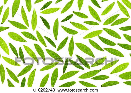 Stock Image - Indoors, Day. Fotosearch