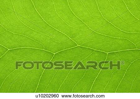 Indoors, Day View Large Photo Image Stock Image - Indoors, Day. Fotosearch