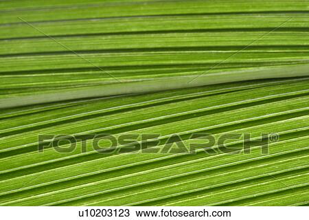 Stock Image - Indoors, Day. Fotosearch