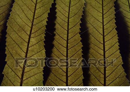 Stock Image - Indoors, Day. Fotosearch