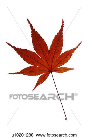 Stock Photo - Indoors, Day. Fotosearch
