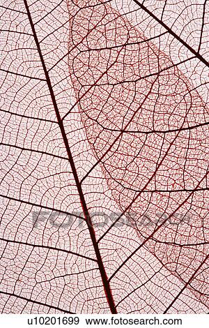 Indoors, Day View Large Photo Image Stock Photo - Indoors, Day. Fotosearch