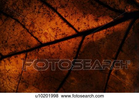 Indoors, Day View Large Photo Image Stock Photo - Indoors, Day. Fotosearch