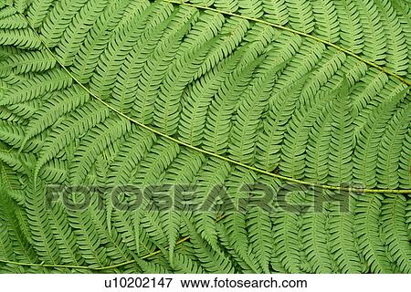 Stock Photo - Indoors, Day. Fotosearch