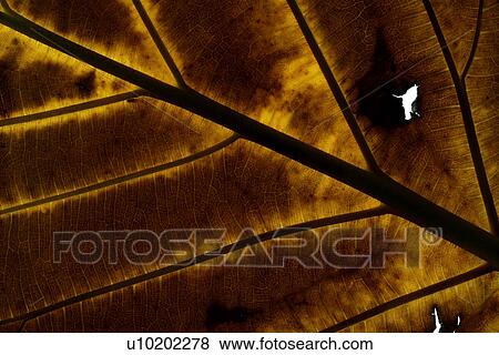 Indoors, Day View Large Photo Image Stock Photo - Indoors, Day. Fotosearch