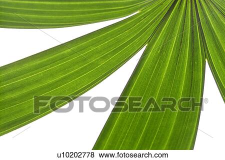 Stock Photo - Indoors, Day. Fotosearch