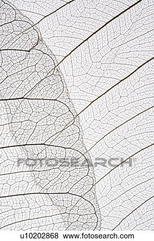 Stock Photo - Indoors, Day. Fotosearch