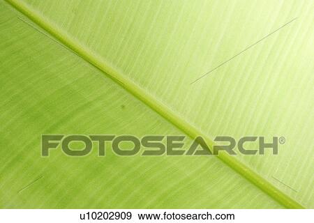 Stock Photo - Indoors, Day. Fotosearch