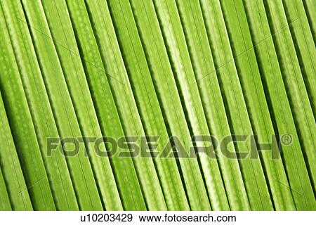 Stock Photo - Indoors, Day. Fotosearch