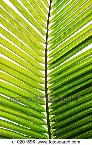 Indoors, Day View Large Photo Image Stock Photograph - Indoors, Day. Fotosearch