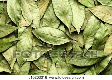 Indoors, Day View Large Photo Image Stock Photograph - Indoors, Day. Fotosearch