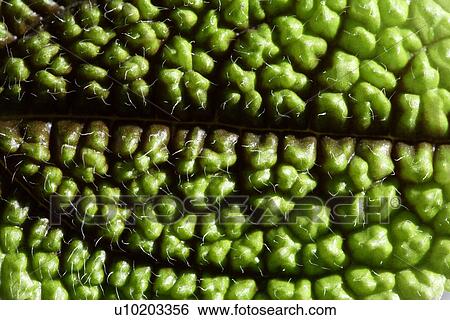 Stock Photograph - Indoors, Day. Fotosearch
