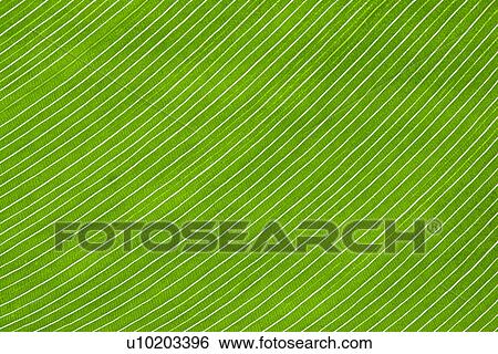 Indoors, Day View Large Photo Image Stock Photograph - Indoors, Day. Fotosearch