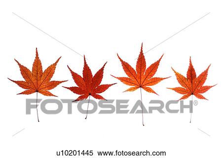 Indoors, Day View Large Photo Image Stock Photography - Indoors, Day. Fotosearch
