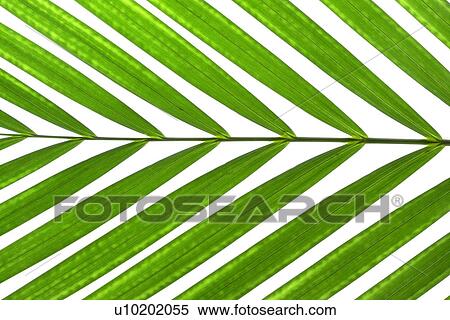 Stock Photography - Indoors, Day. Fotosearch