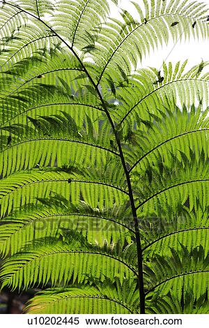 Stock Photography - Indoors, Day. Fotosearch