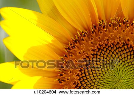 Picture - Day, digital. Fotosearch