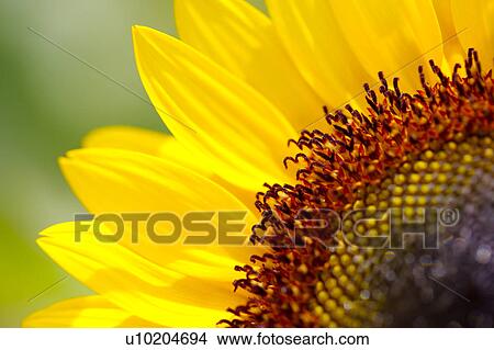 Picture - Day, digital. Fotosearch