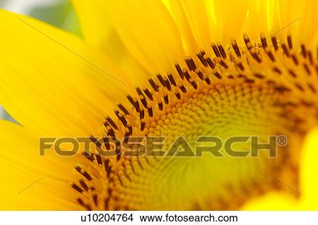 Picture - Day, digital. Fotosearch