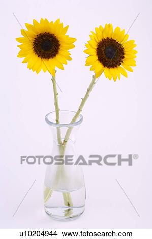 Day, digital View Large Photo Image Picture - Day, digital. Fotosearch