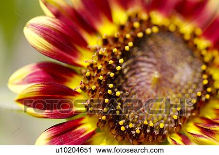 Stock Image - Day, digital. Fotosearch