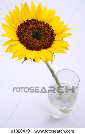 Stock Image - Day, digital. Fotosearch