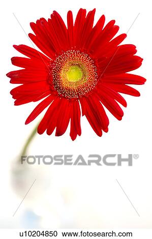 Stock Image - Day, digital. Fotosearch