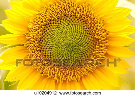 Stock Image - Day, digital. Fotosearch