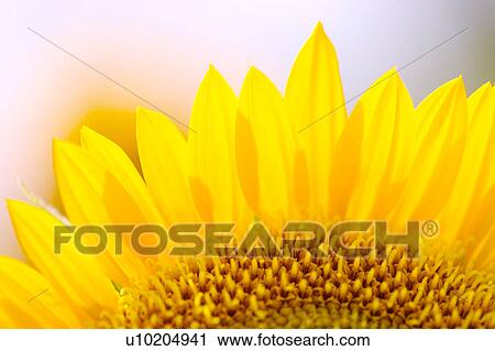 Stock Image - Day, digital. Fotosearch