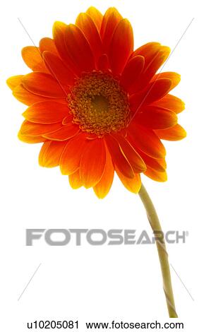 Stock Image - Day, digital. Fotosearch